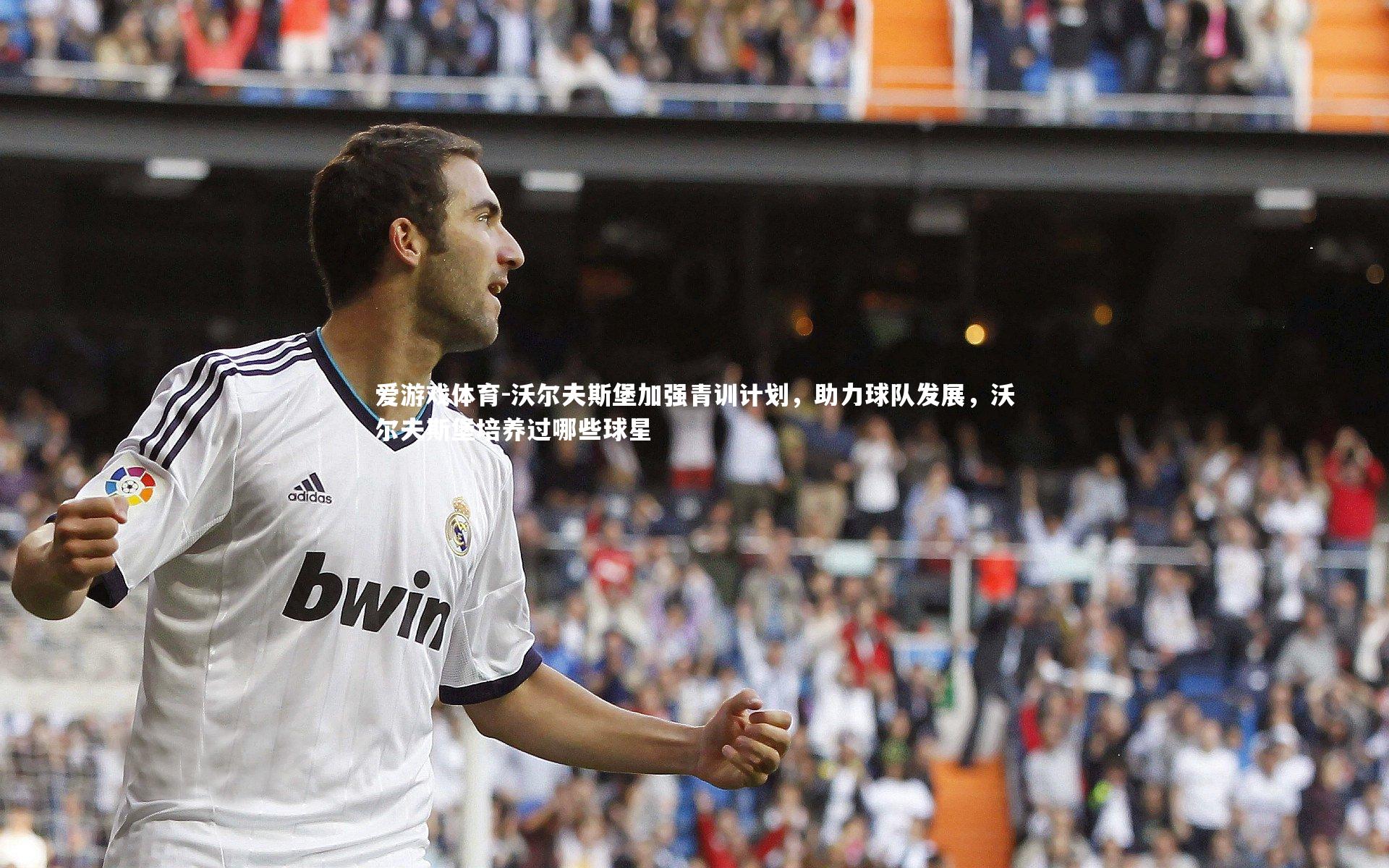 沃尔夫斯堡加强青训计划，助力球队发展，沃尔夫斯堡培养过哪些球星