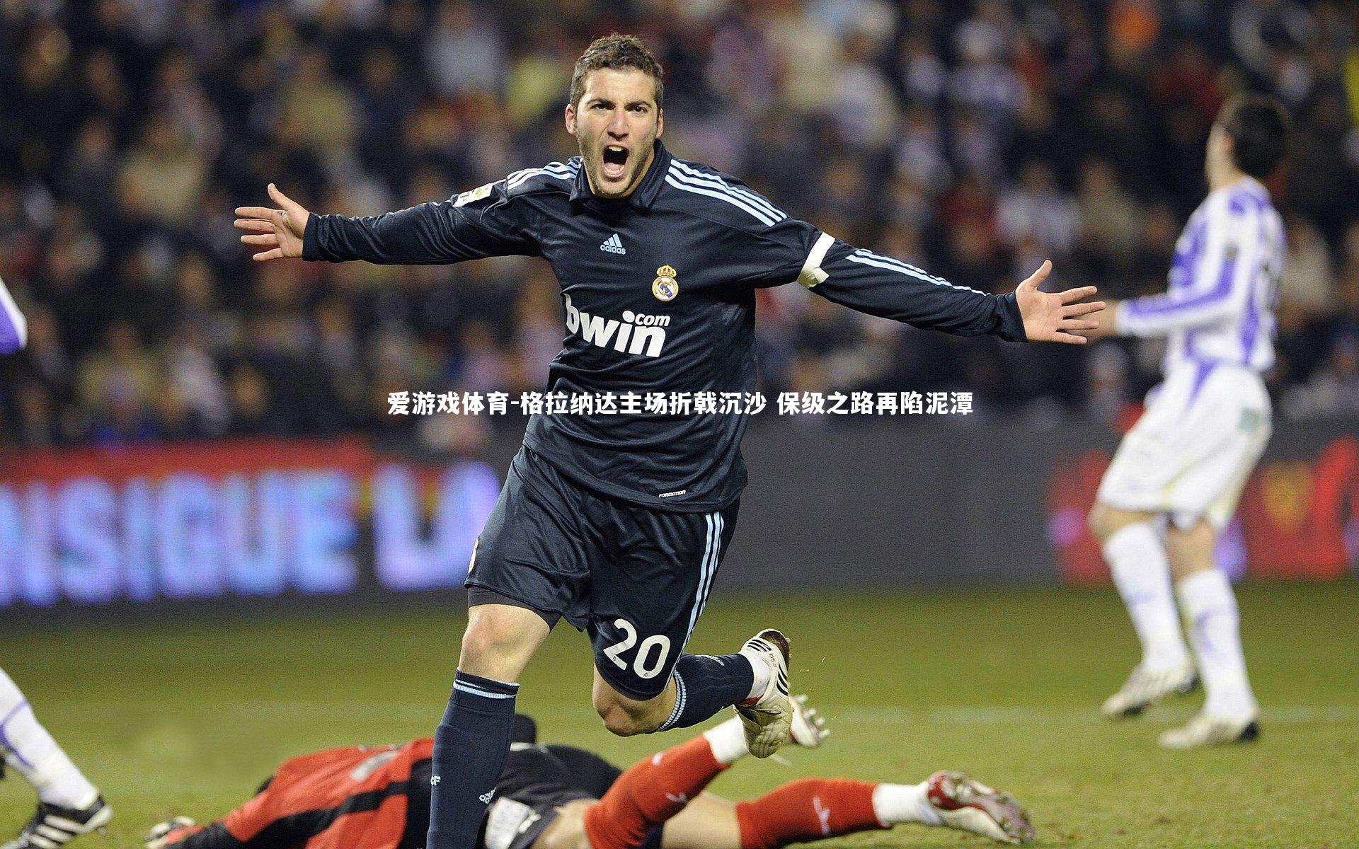 格拉纳达主场折戟沉沙 保级之路再陷泥潭